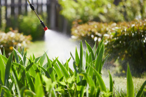 Tamper-Resistant Bait Stations for Rodents in Fort Ashby