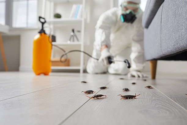 Commercial Rodent Management in Fort Ashby